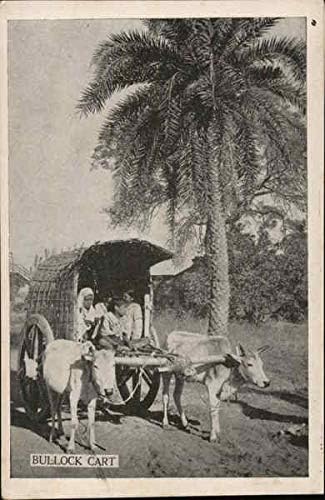 Coș de taur care transportă oameni lângă palmier alte cărți poștale antice originale