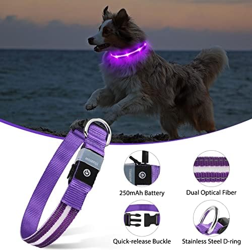Guler de câine LED MASBRILL, Lumină reîncărcabilă Gulere pentru câini rezistent la apă, luminat de câine, guler strălucitor