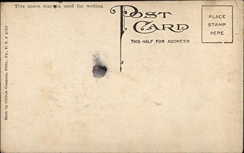 Cele două mari atracții la Târgul de Stat Syracuse, New York NY original Antique Postcard