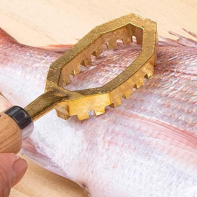 Ranshou Fish Scaler Remover Lama Octagon Heavy Duty, Instrument de războinic profesionist japonez de pește, mâner din lemn, aur din alamă, fabricat în Japonia